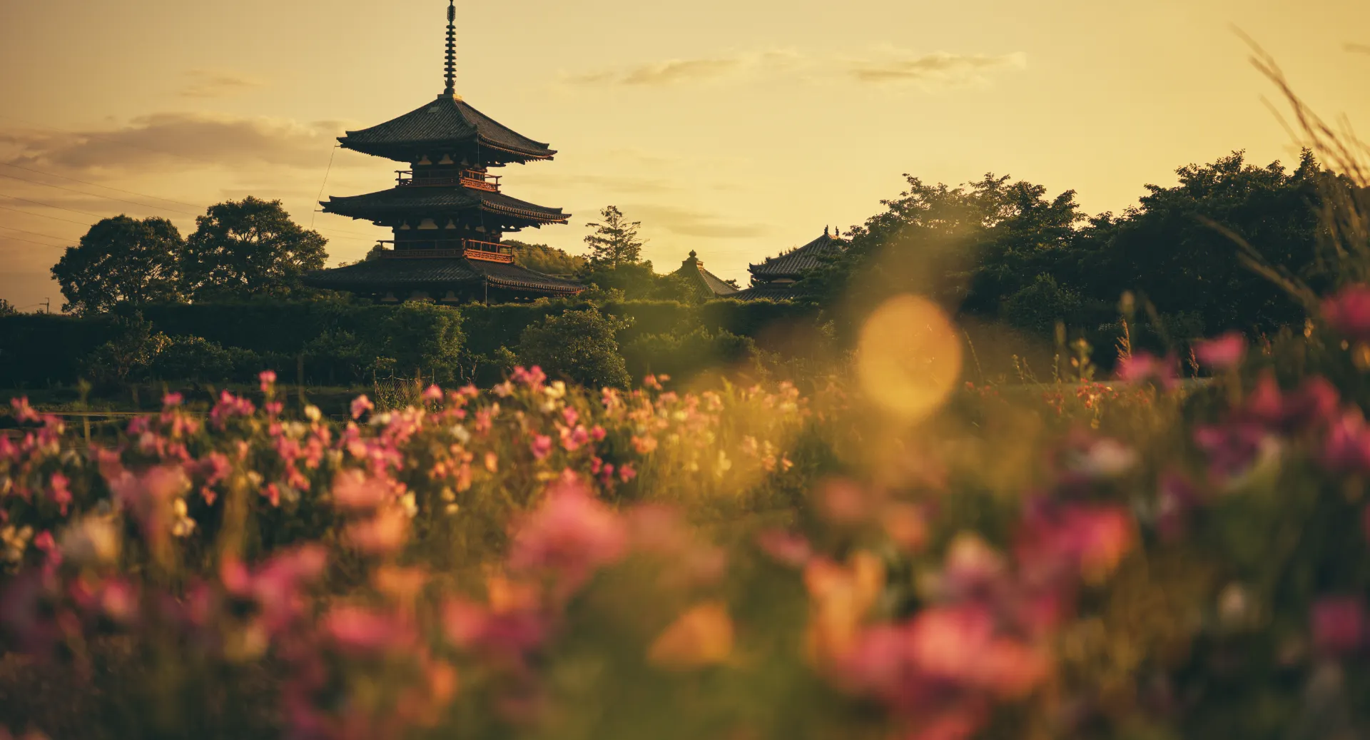 いざいざ奈良 法隆寺