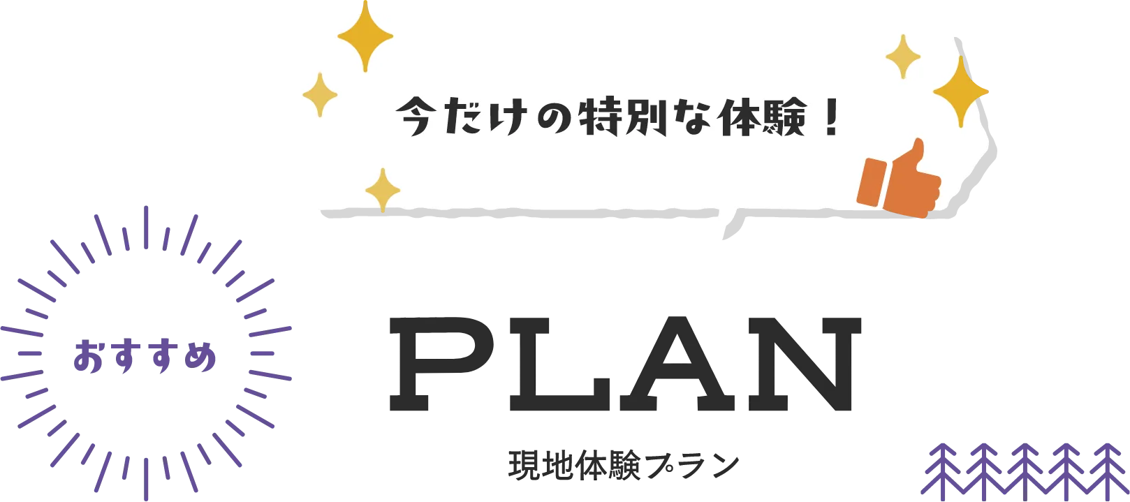今だけの特別な体験！ 現地体験プラン