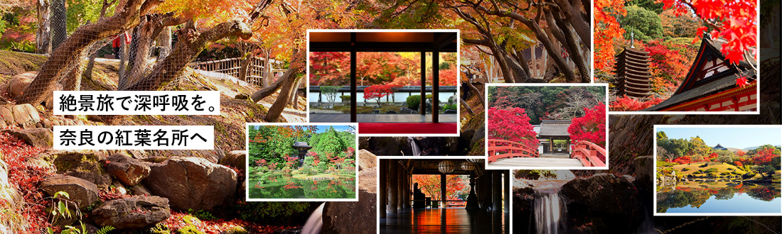絶景旅で深呼吸を。奈良の紅葉名所へ