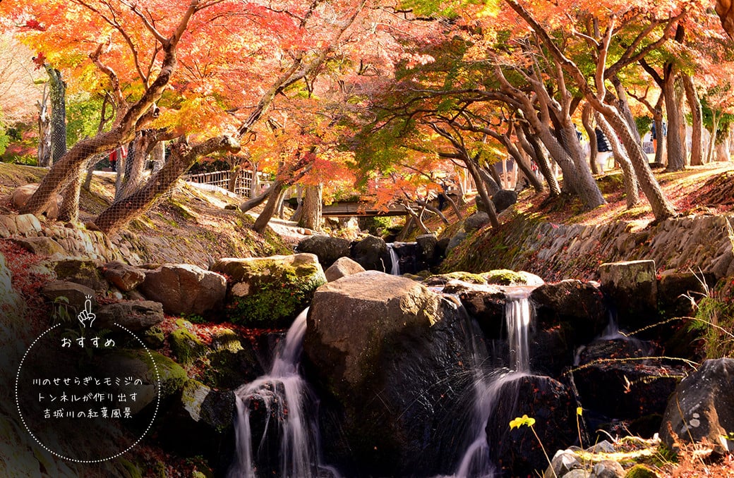 絶景旅で深呼吸を。奈良の紅葉名所へ ｜奈良のイチ推し｜いざいざ奈良