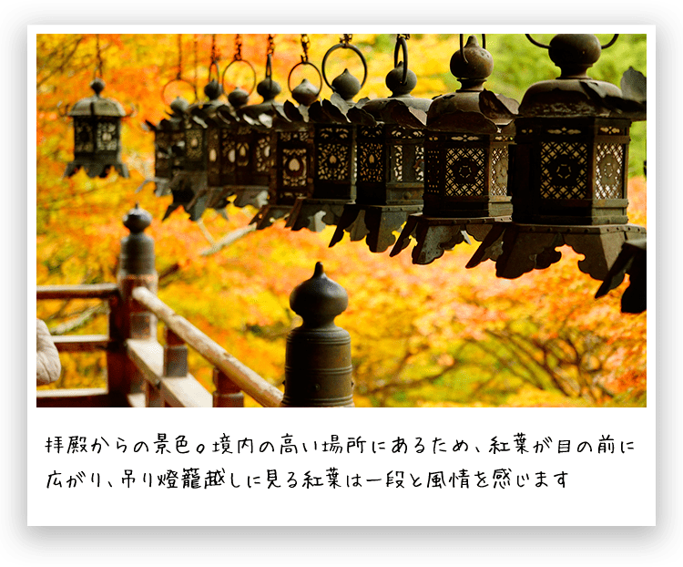 絶景旅で深呼吸を 奈良の紅葉名所へ イチオシ特集 うましうるわし奈良 ｊｒ東海