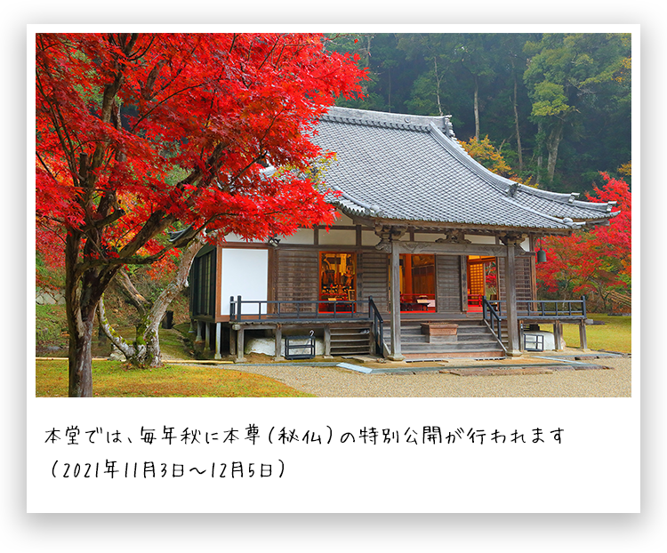 絶景旅で深呼吸を 奈良の紅葉名所へ イチオシ特集 うましうるわし奈良 ｊｒ東海