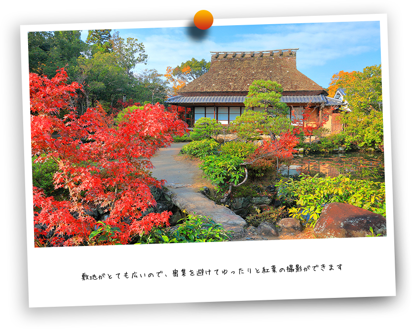 絶景旅で深呼吸を 奈良の紅葉名所へ イチオシ特集 うましうるわし奈良 ｊｒ東海