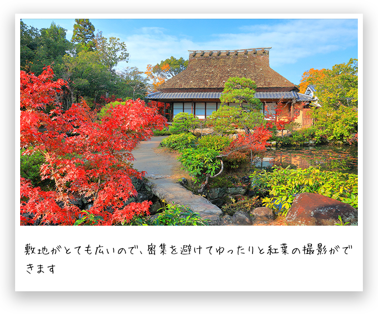 絶景旅で深呼吸を 奈良の紅葉名所へ イチオシ特集 うましうるわし奈良 ｊｒ東海