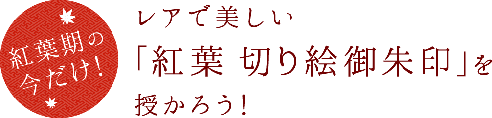 紅葉期の今だけ！ レアで美しい「紅葉 切り絵御朱印」を授かろう！