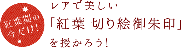 紅葉期の今だけ！ レアで美しい「紅葉 切り絵御朱印」を授かろう！