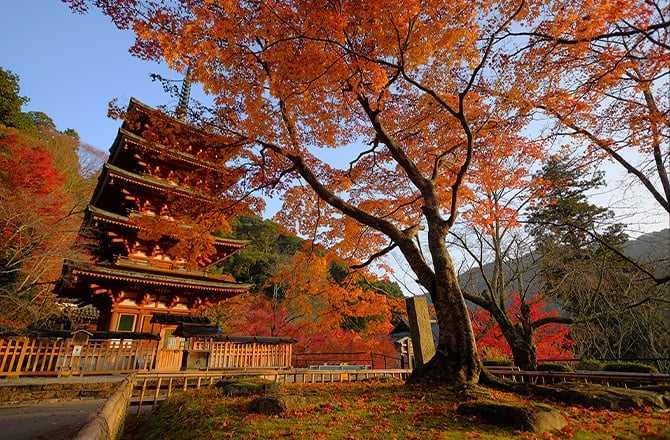 写真：長谷寺