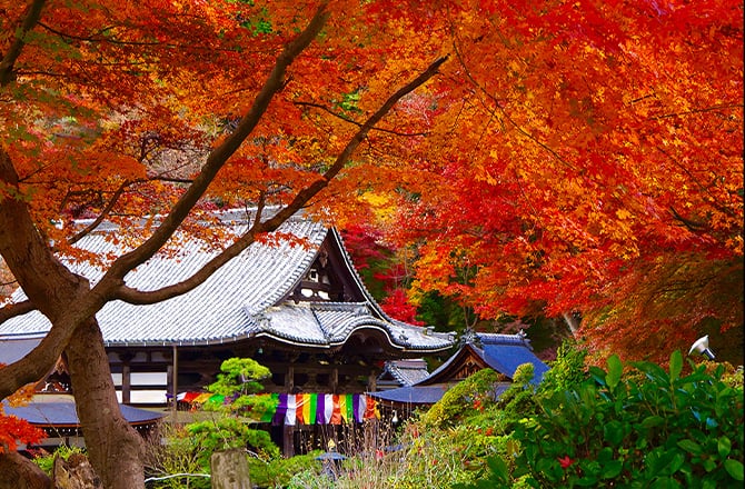 写真：岡寺