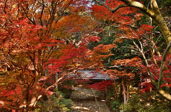 写真：室生寺