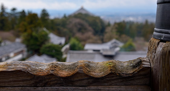 知っているつもりではもったいない 東大寺を知り尽くす旅｜モデル