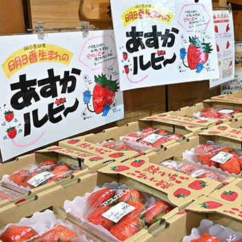 鹿の角バームクーヘン｜おみやげ｜いざいざ奈良｜JR東海