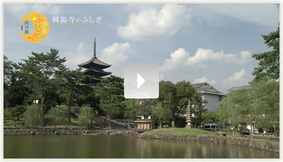 興福寺（五重塔／三重塔）