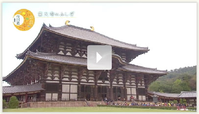 東大寺（盧舎那仏）