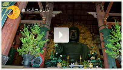 東大寺（大仏殿･写経）
