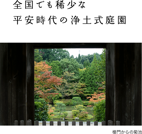 全国でも稀少な平安時代の浄土式庭園 楼門からの菊池