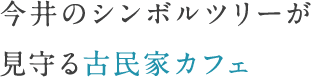 今井のシンボルツリーが見守る古民家カフェ