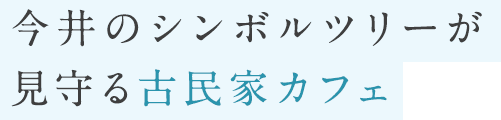 今井のシンボルツリーが見守る古民家カフェ