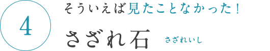 そういえば見たことなかった！ さざれ石