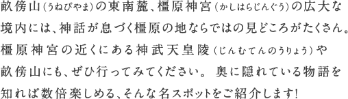 畝傍山（うねびやま）の東南麓、橿原神宮（かしはらじんぐう）の広大な境内には、神話が息づく橿原の地ならではの見どころがたくさん。橿原神宮の近くにある神武天皇陵（じんむてんのうりょう）や畝傍山にも、ぜひ行ってみてください。奥に隠れている物語を知れば数倍楽しめる、そんな名スポットをご紹介します！