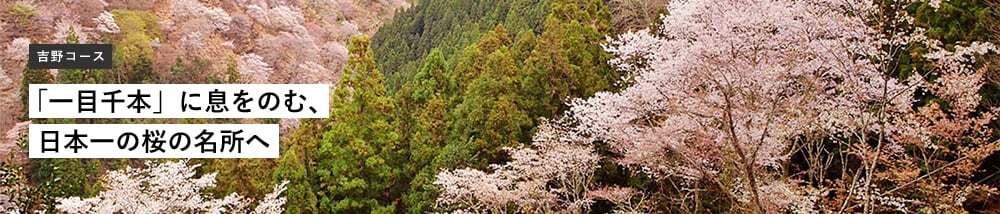 吉野コース 「一目千本」に息をのむ、日本一の桜の名所へ