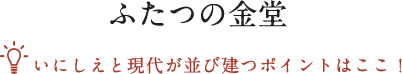 ふたつの金堂 いにしえと現代が並び建つポイントはここ！
