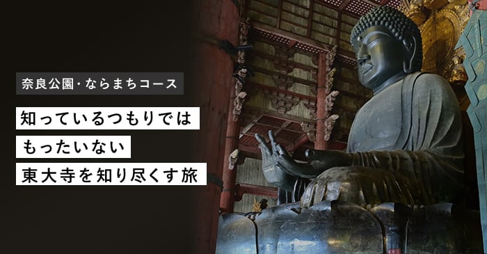 奈良公園・ならまちコース 知っているつもりではもったいない 東大寺を知り尽くす旅