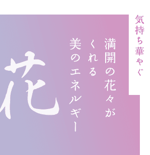 気持ち華やぐ 満開の花々がくれる美のエネルギー 花